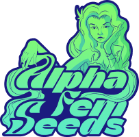 Alpha Fem Seeds