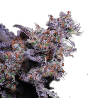 Blackberry Moonrocks